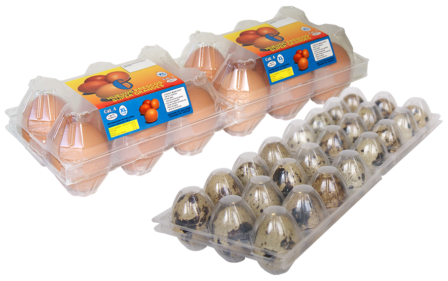 Alplas – Estuches de plásticos para huevos