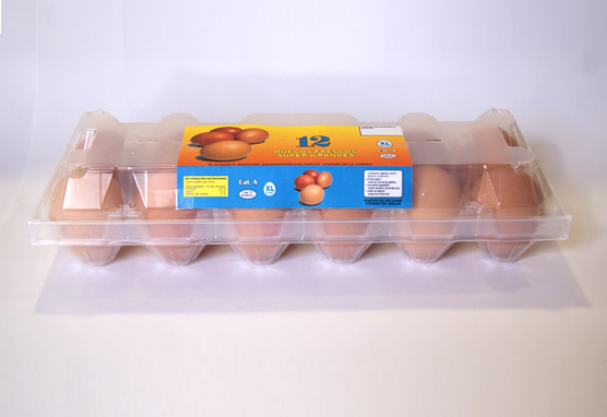 Estuche grande 1×12 huevos gallina 02
