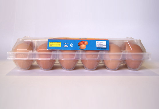 Estuche grande 1×12 huevos gallina 04