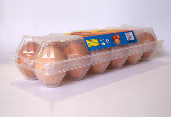 Estuche grande 1×12 huevos gallina 05