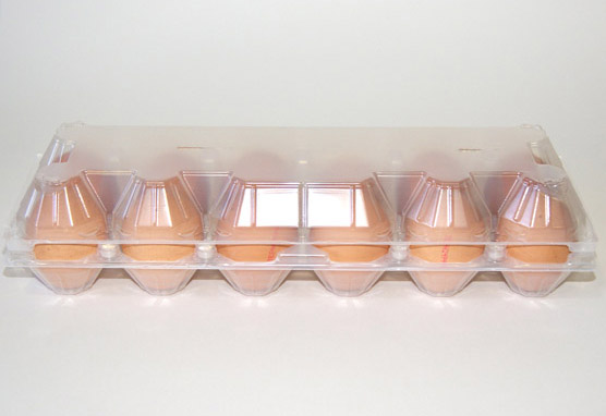 Estuche grande 1×12 huevos gallina sin etiqueta 02