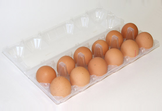 Estuche grande 1×12 huevos gallina sin etiqueta 04