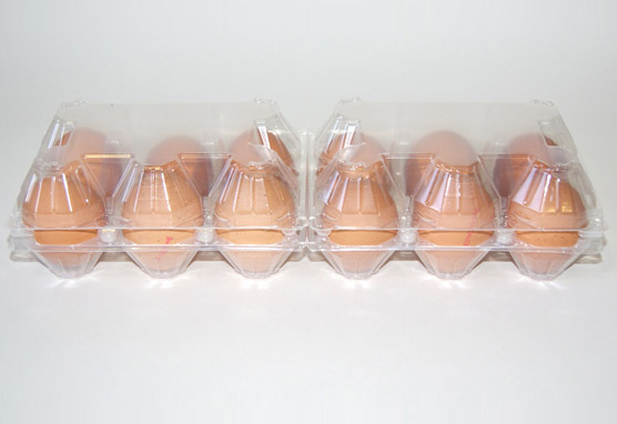 Estuche grande 2×6 huevos gallina sin etiqueta 05