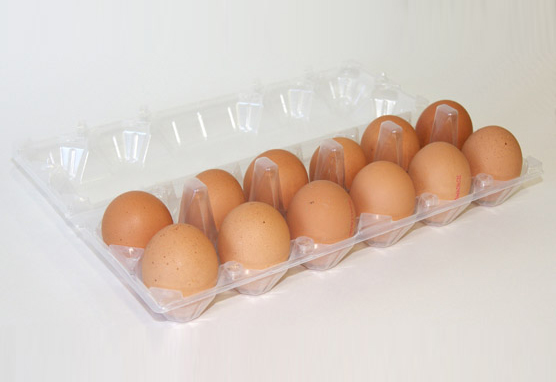 Estuche pequeño 1×12 huevos gallina sin etiqueta 02
