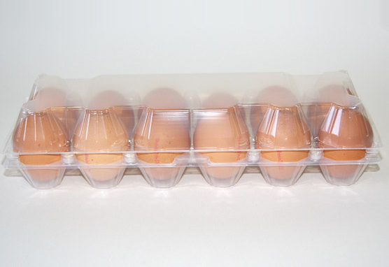 Estuche pequeño 1×12 huevos gallina sin etiqueta 03