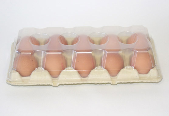 Tapa huevos gallina 10XL