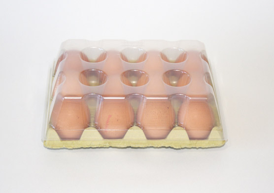 Tapa huevos gallina 12 ALTA